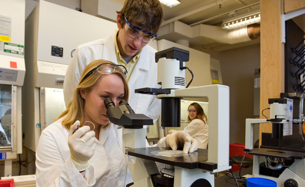 درمان-آلزایمر